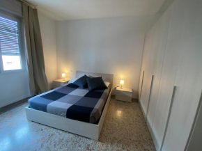 Tulipani Brescia